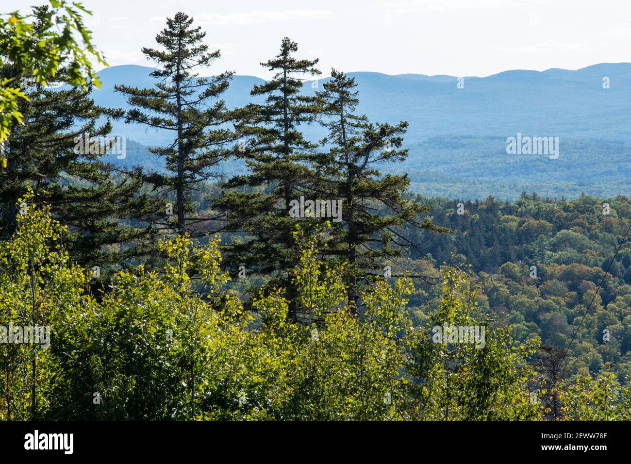 Tratto dal Winslow state Park, questa gamma di montagne si trova al di fuori della RT 89 nord-ovest dalla capitale dell'NH, Concord . Kearsarge è un monadnock. Foto Stock