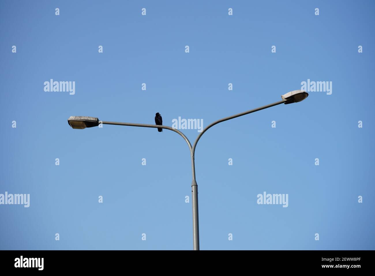 Un palo per lampada a due lati con un uccello in blu cielo Foto Stock