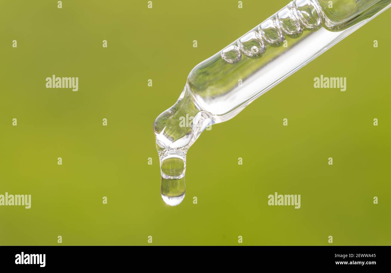 Pipettare con olio essenziale, siero, acido ialuronico su fondo erboso. Aromaterapia, medicina alternativa con foglia verde. Primo piano di pippette verdi Foto Stock