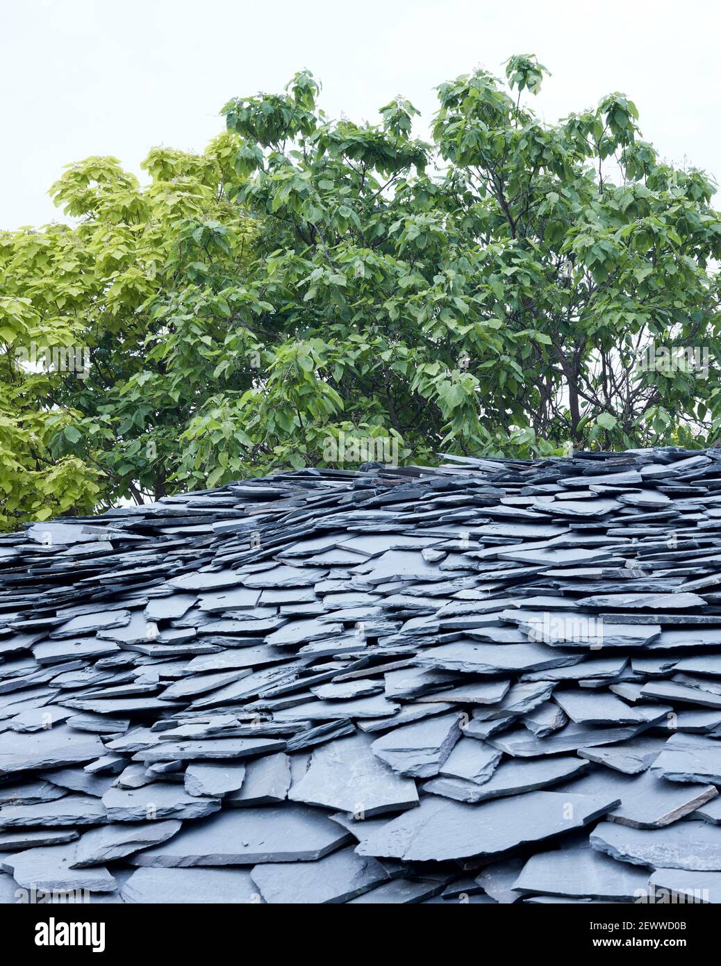 Dettagli del tetto in ardesia. Serpentina Pavilion 2019, LONDRA, Regno Unito. Architetto: Junya Ishigami , 2021. Foto Stock