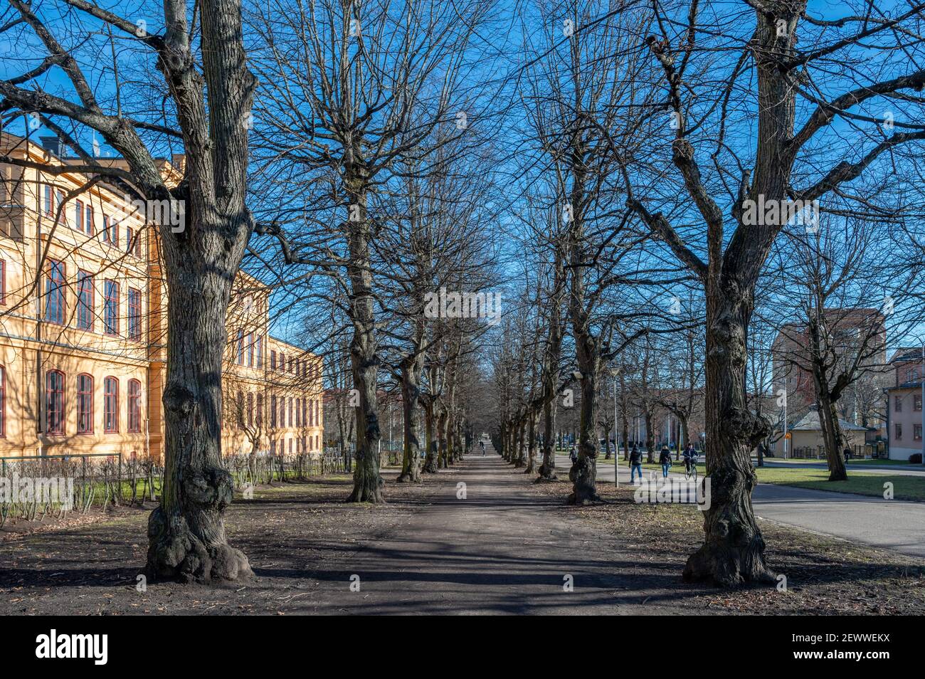Il Southern Promenade in primavera a Norrkoping, Svezia. Le Promenades di Norrkoping sono state ispirate ai viali di Parigi. Foto Stock