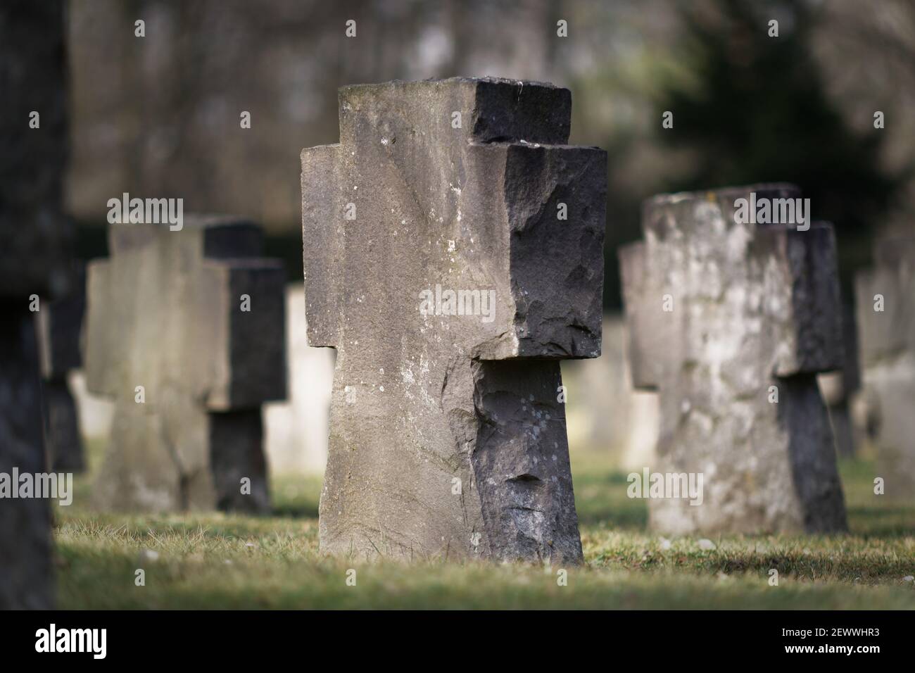 lapidi nel cimitero di un soldato della seconda guerra mondiale a colonia Foto Stock lapidi nel cimitero di un soldato della seconda guerra mondiale a colonia Foto Stock