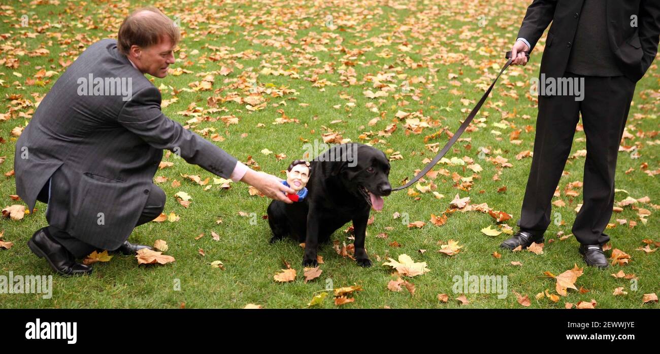 Spettacolo di cani di Westminster..... M.PS e i loro animali domestici  competono nel film di cane di Westminster David Amess MP e Michael che ha  un giocattolo marrone di gomma spremuta. pic