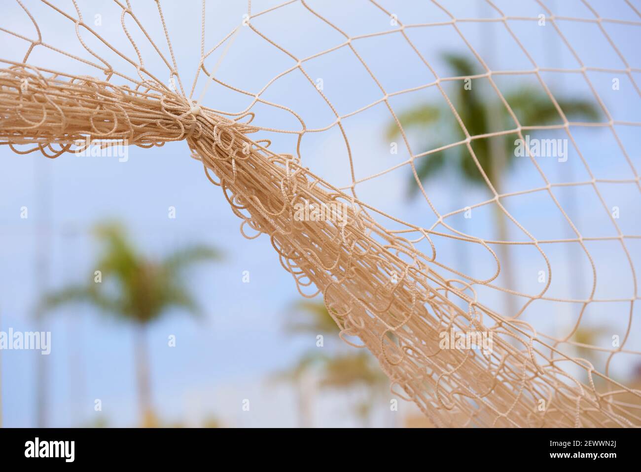 Rete sportiva stretta insieme al cavo stretto con palmi in lo sfondo Foto Stock