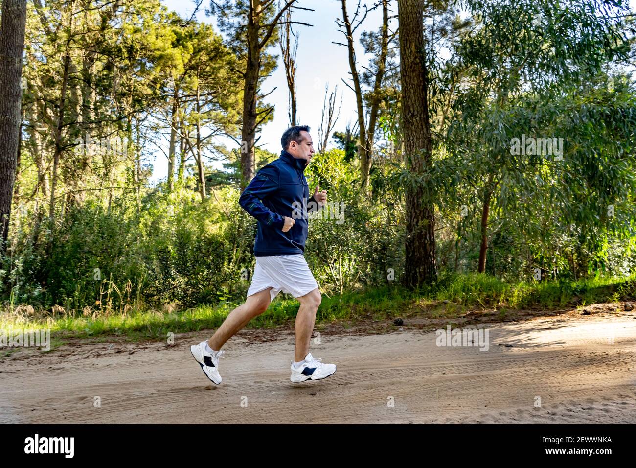 Un uomo che corre su un sentiero nella foresta dentro il pomeriggio Foto Stock