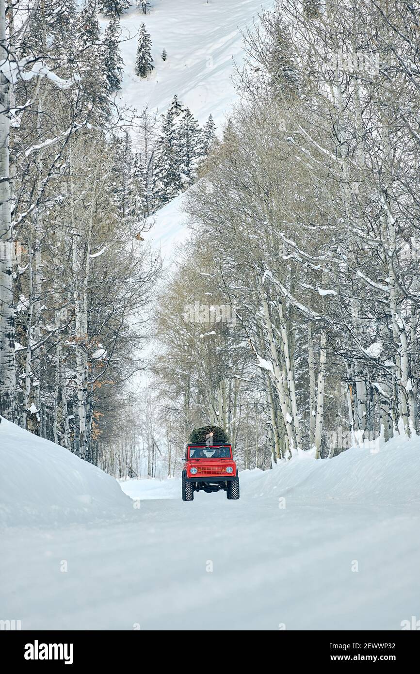 Il SUV con l'albero di Natale sul tetto scende lungo la montagna innevata strada forestale Foto Stock