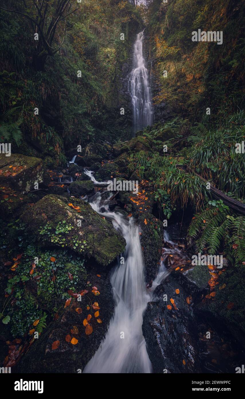 Cascata nel profondo del parco nazionale di Gorbeia Foto Stock