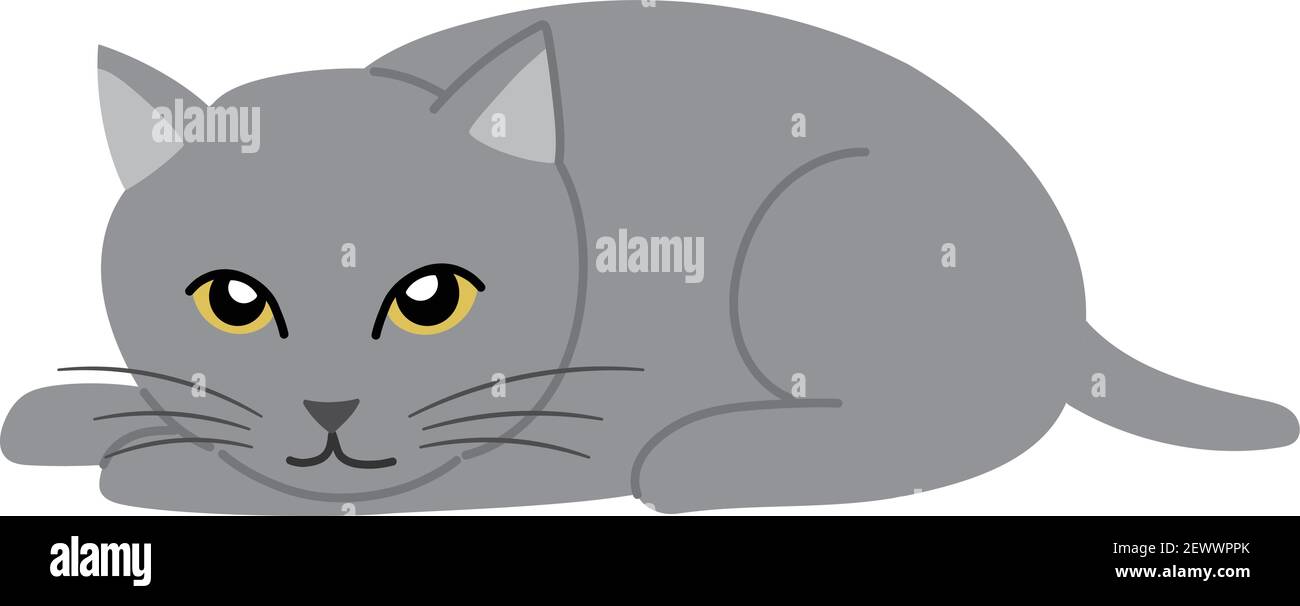 Gatto grigio che giace rivolto verso il basso. Illustrazione vettoriale isolata su sfondo bianco. Illustrazione Vettoriale