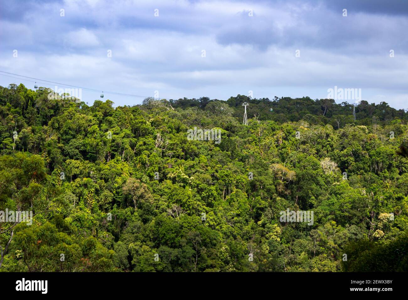 Una vista della foresta pluviale vicino alla Barron Falls Gorge a Kuranda, Queensland, Australia. Foto Stock