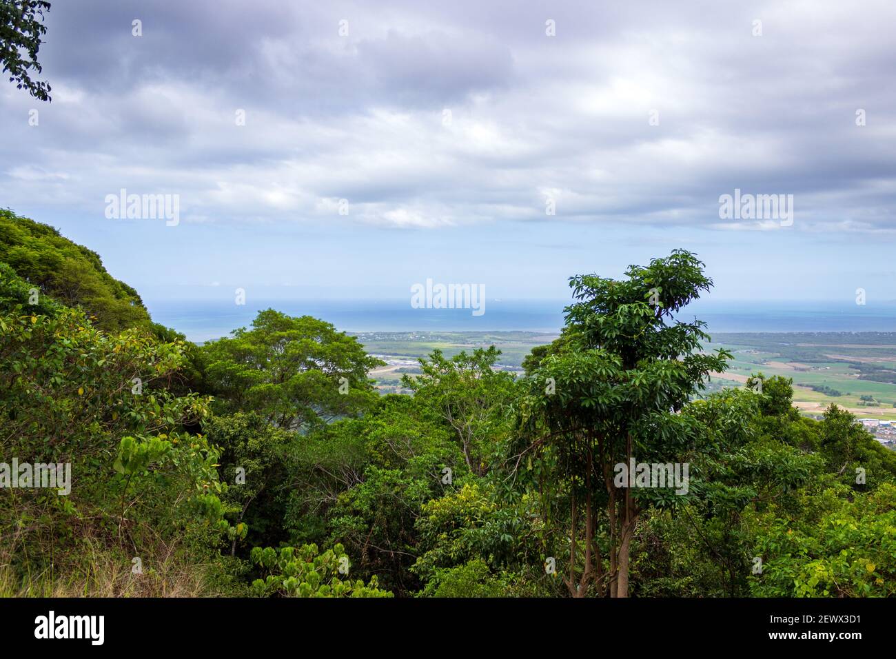 La vista dall'Henry Ross Lookout vicino a Cairns, Queensland, Australia. Foto Stock