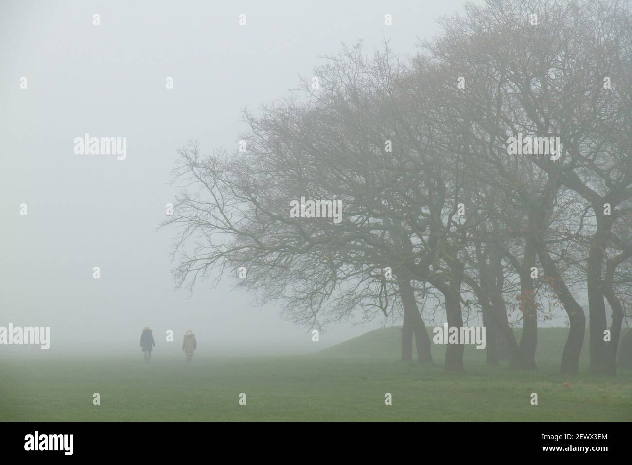 Londra, Regno Unito. 03 marzo 2021. Una coppia visto a piedi da alcuni alberi nel parco di Wanstead sommersi di nebbia per la maggior parte della mattina. La maggior parte di Londra è stata travolta da zone di nebbia con temperature ridotte a 2 gradi. Le notti gelide e la bassa visibilità dovrebbero rimanere per un'altra settimana. Credit: SOPA Images Limited/Alamy Live News Foto Stock