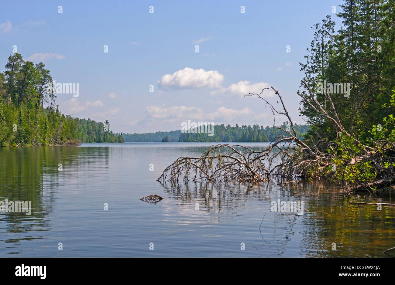 Giornata di sole in una regione canoe sul lago di quell'uomo Nel Quetico Provincial Park in Canada Foto Stock