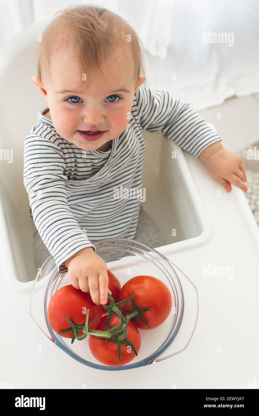 Cute baby girl sono seduti con pomodoro bianco sfondo interno. Divertente bambino esplora verdure vista dall'alto Foto Stock