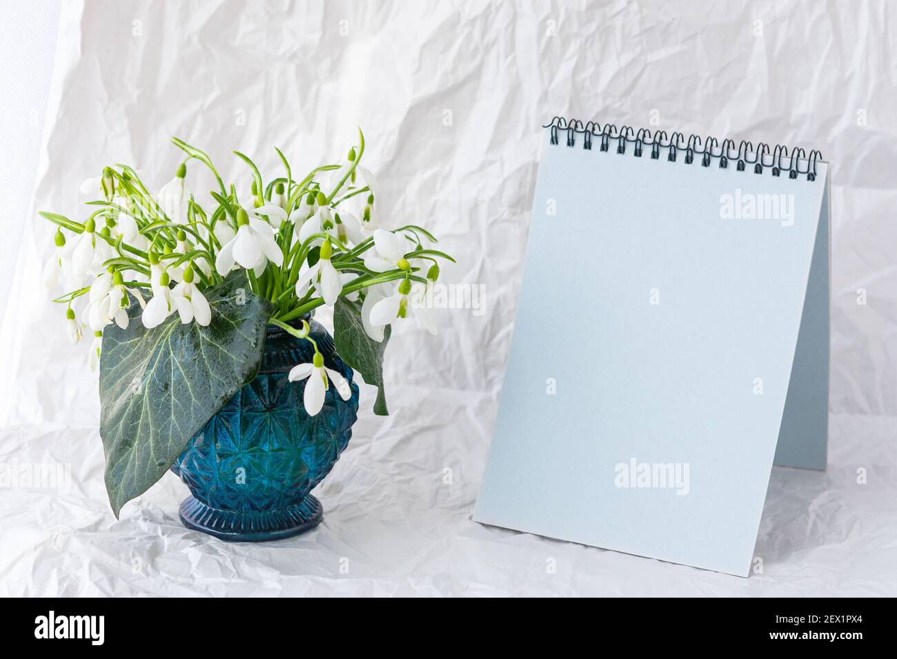 Gocce di neve bianca Galanthus nivalis in un vaso su sfondo bianco e con un blocco note per il testo. Un delicato bouquet per l'8 marzo, Festa della mamma, Donna D Foto Stock