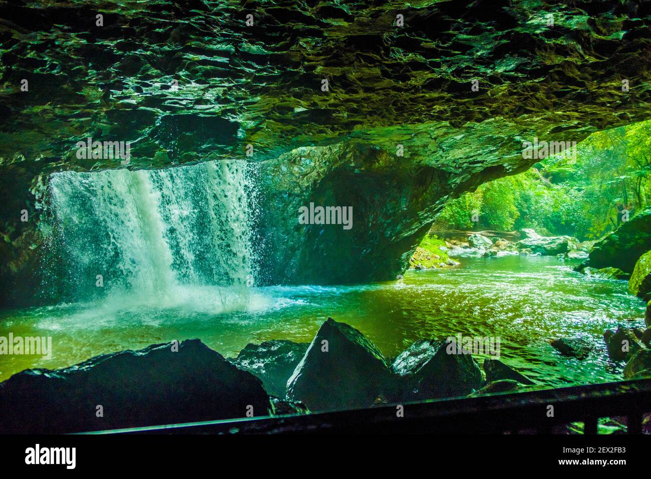 Natural Bridge, Queensland, Australia Foto Stock