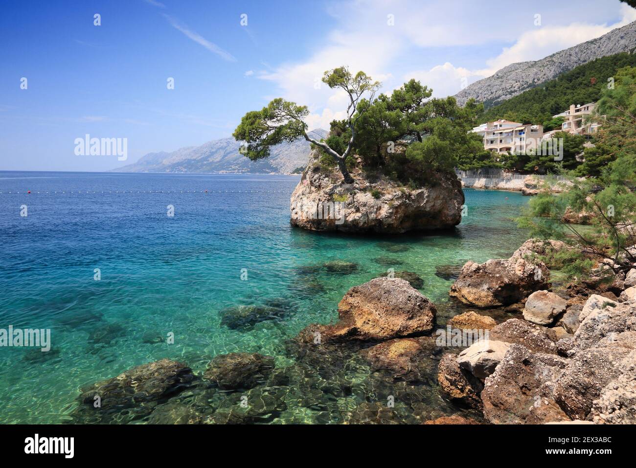 Brela Rock, Croazia. Isola naturale di pietra punto di riferimento con robusti pini. Punta rata. Foto Stock