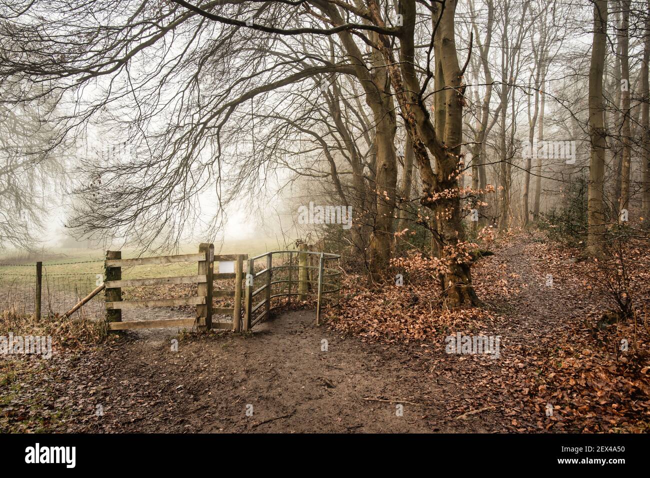 Percorsi di Foggy Chiltern Hills con cartelli stradali tra Little Chalfont e Latimer, Inghilterra Foto Stock