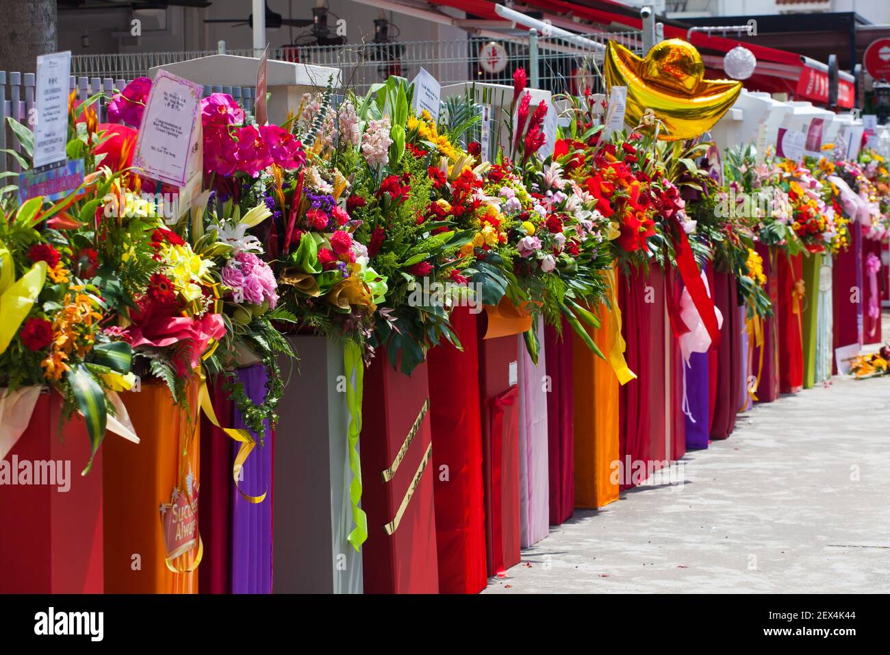 Fila di tribune di fiori di congratulazioni collocate lungo un marciapiede per congregare la grande apertura del business. Foto Stock