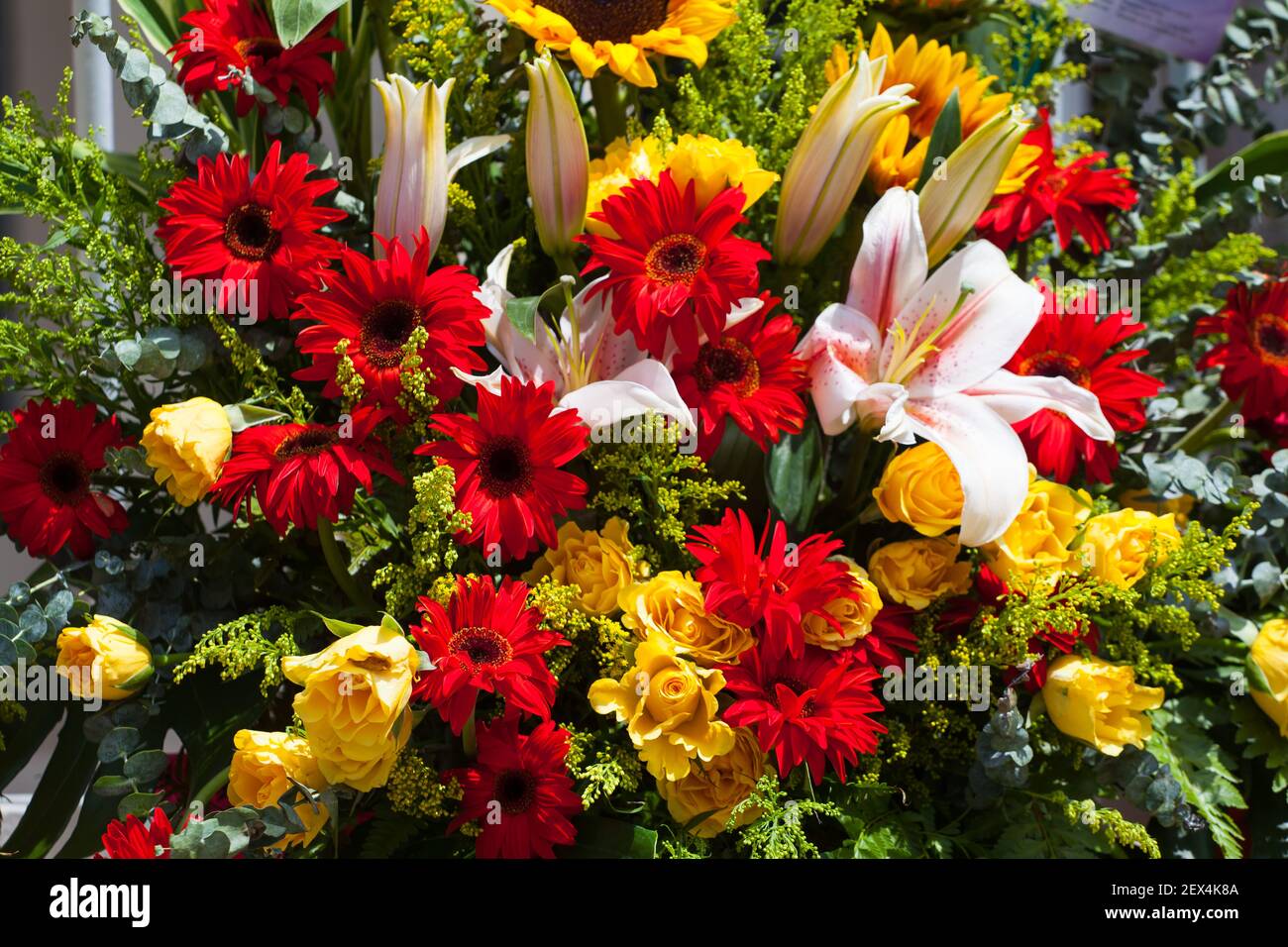 Primo piano di fiori colorati congratulazioni per l'apertura di una nuova attività e augurano il successo e la prosperità del proprietario di affari. Foto Stock