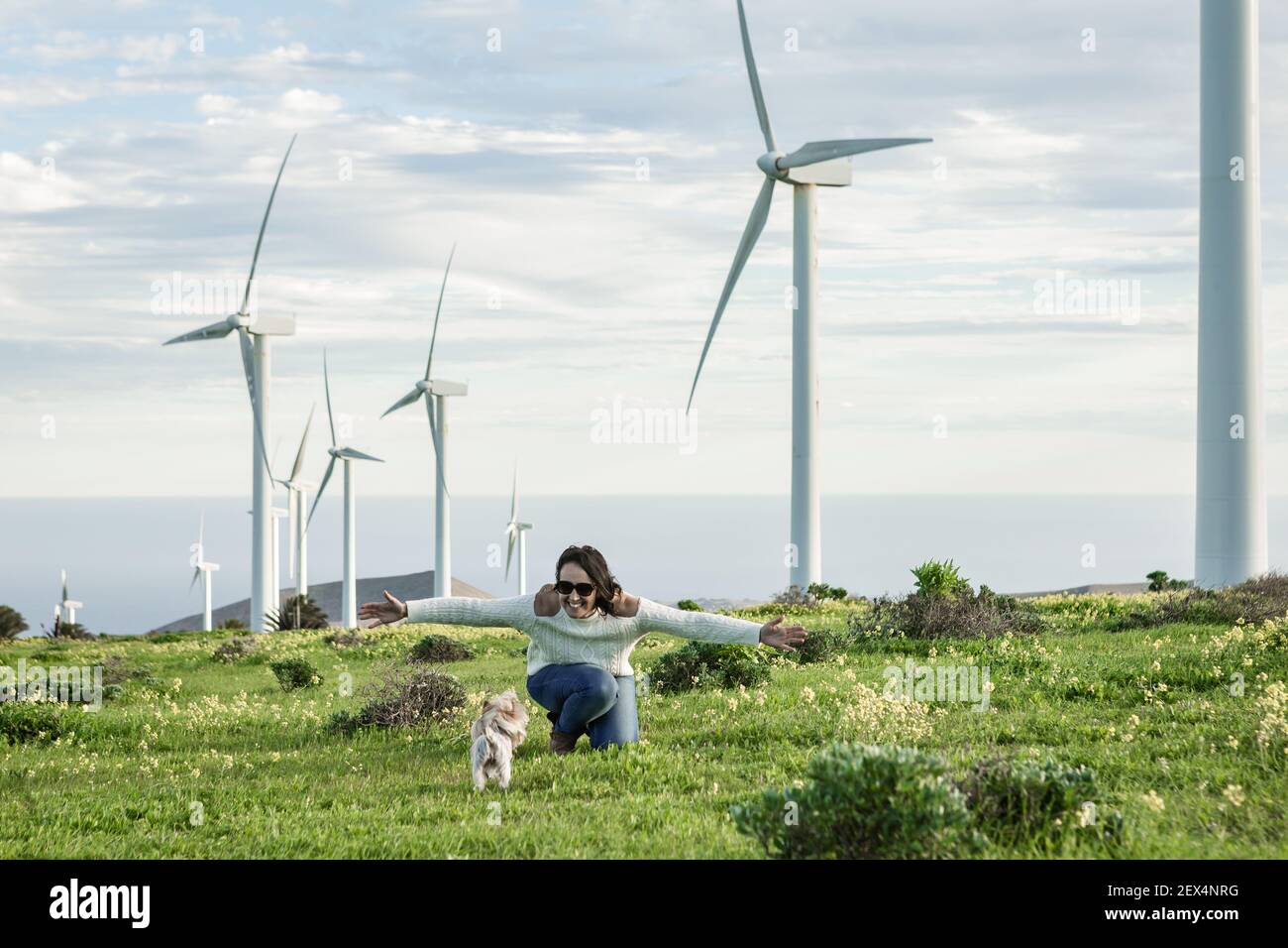 Il proprietario femminile di soddisfare che gioca con il cane piccolo carino nel campo Sullo sfondo di mulini a vento su Lanzarote Foto Stock