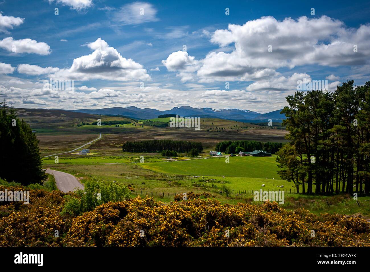 I Cairngorms dalla strada della neve Foto Stock