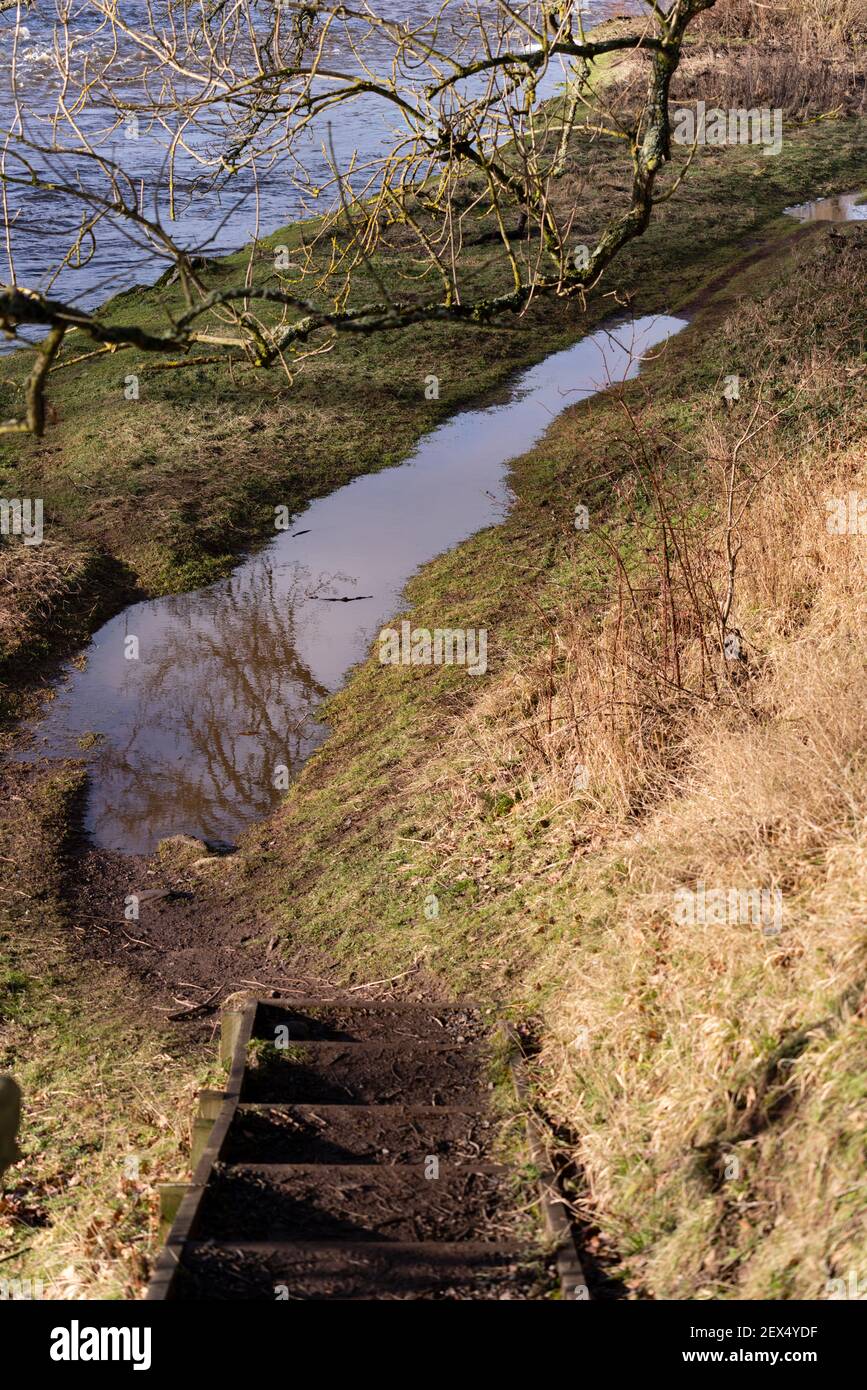 Fiume Teviot presso il castello di Roxburgh, Kelso, frontiere scozzesi - percorso pedonale lungo il fiume allagato Foto Stock