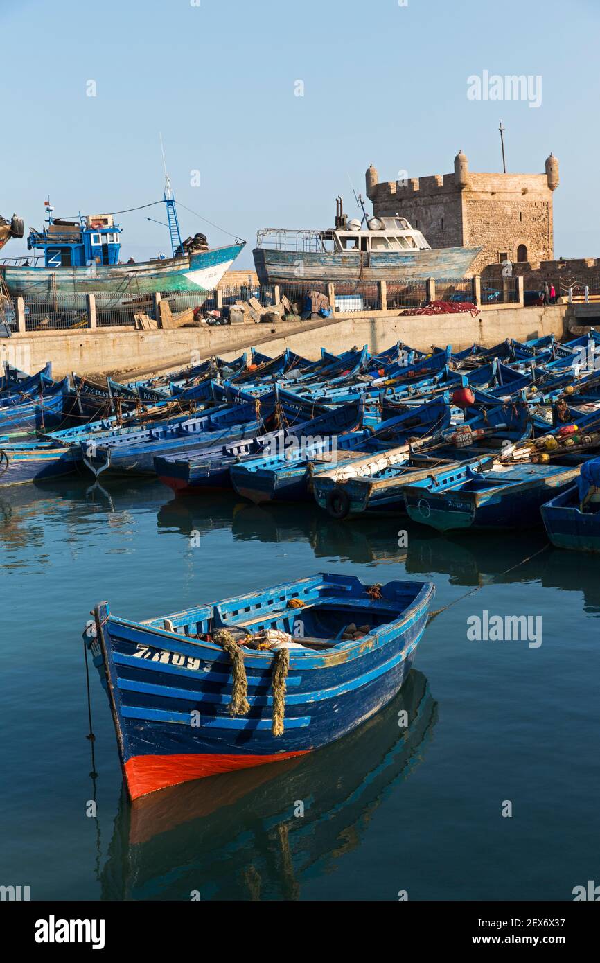 Marocco, Essaouira, Sqala du Port, la marina con i pescherecci Foto Stock