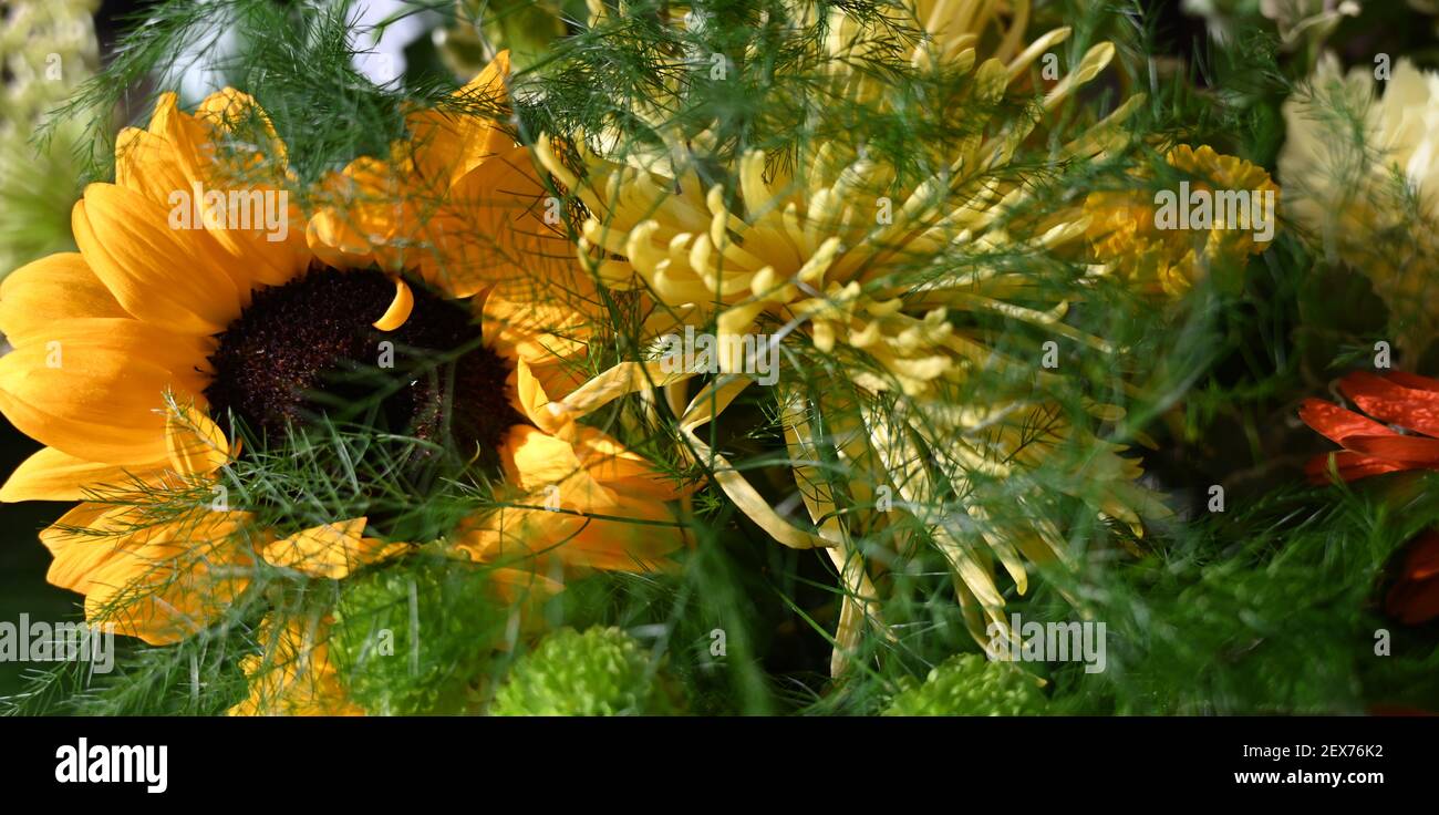 Luminoso bouquet di fiori con girasoli. Natura sfondo. Girasole in bouquet di fiori naturali. Foto Stock