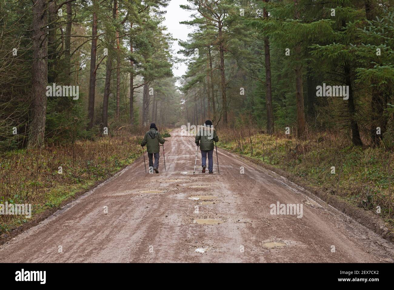 Coppie anziane camminano lungo un sentiero pedonale attraverso un bosco remoto foresta in campagna rurale paesaggio durante l'inverno Foto Stock