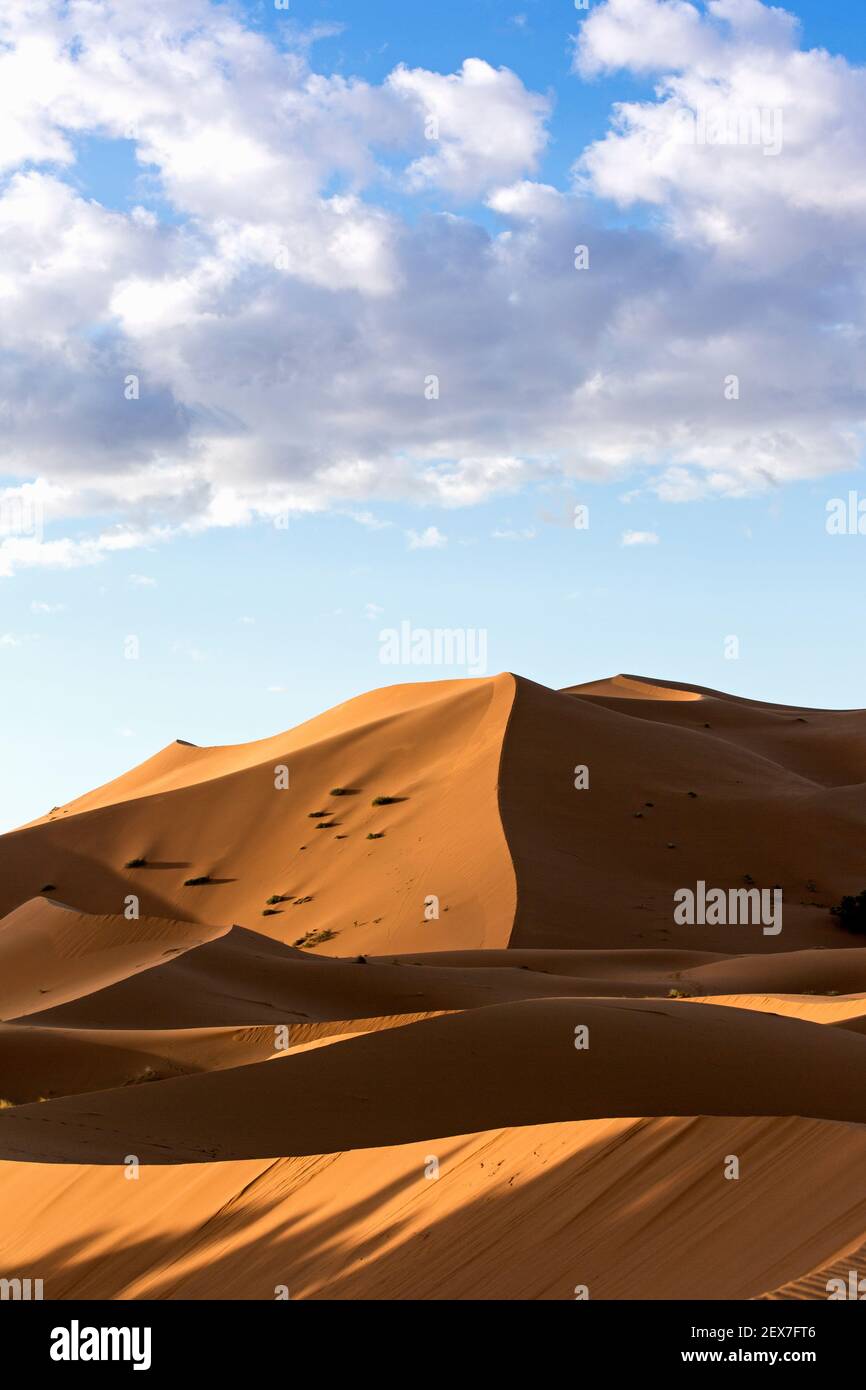 Marocco, Merzouga, le dune di Erg Chebbi all'alba, le dune del deserto si estendono per 30 km e raggiungono altezze di 250 metri Foto Stock