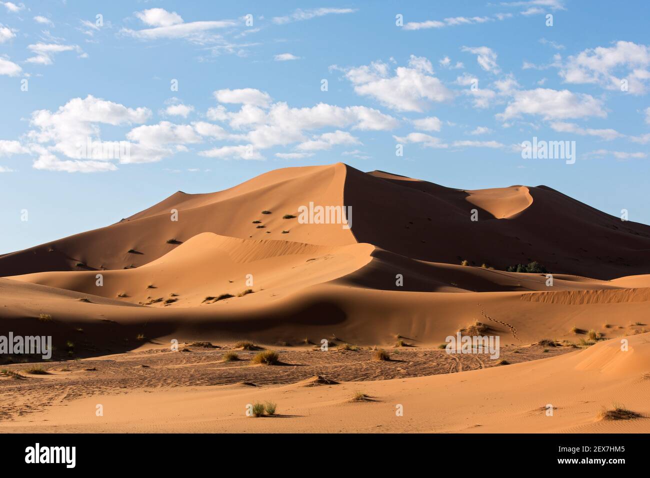 Marocco, Merzouga, le dune di Erg Chebbi all'alba, le dune del deserto si estendono per 30 km e raggiungono altezze di 250 metri Foto Stock