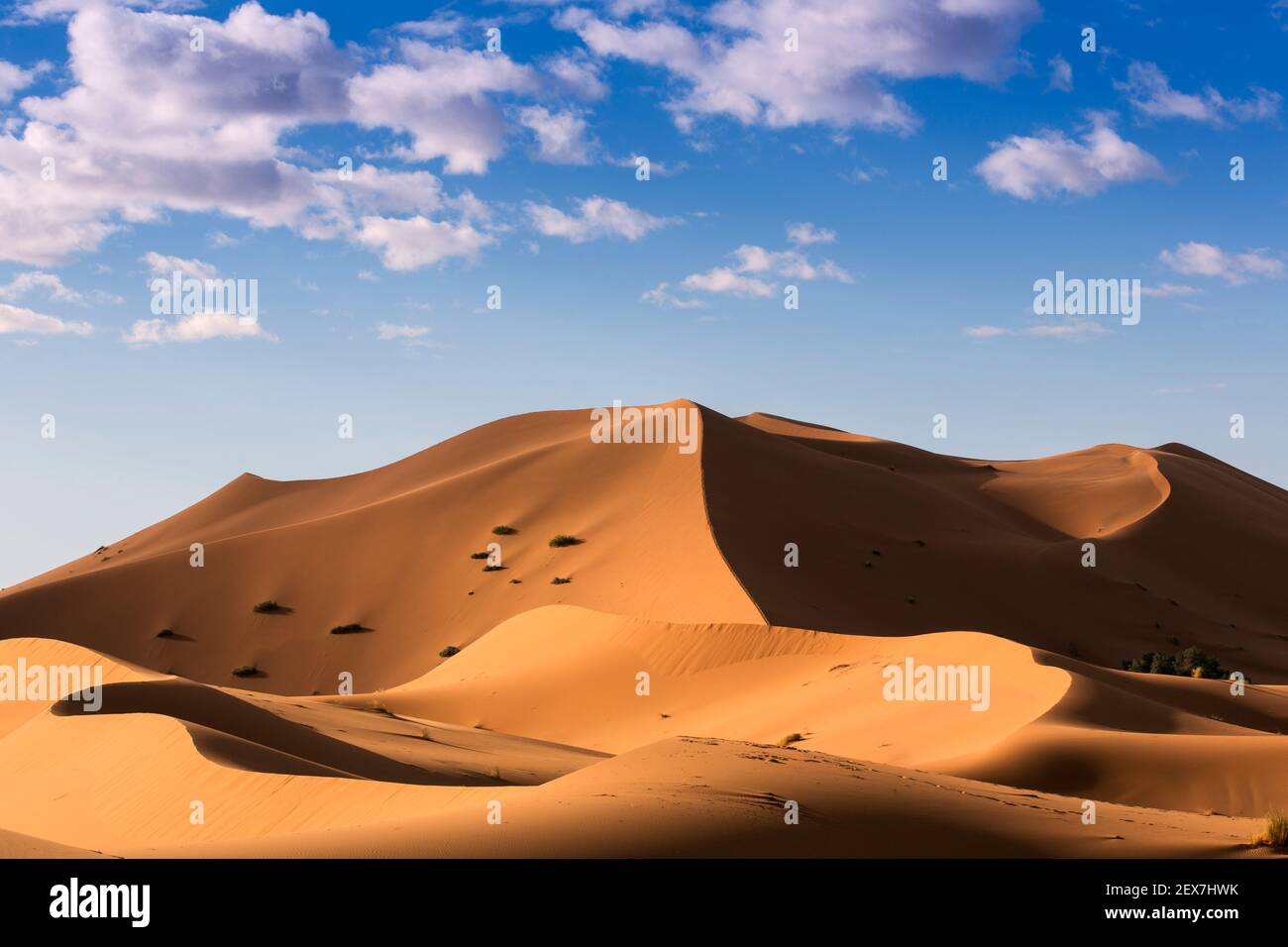 Marocco, Merzouga, le dune di Erg Chebbi all'alba, le dune del deserto si estendono per 30 km e raggiungono altezze di 250 metri Foto Stock