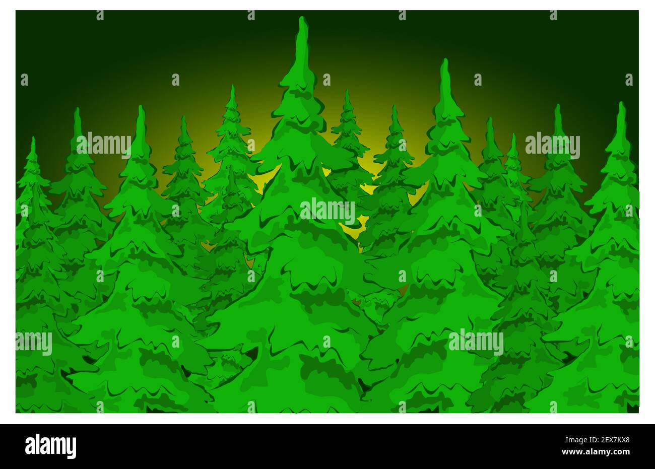 Pelliccia-alberi Foto Stock