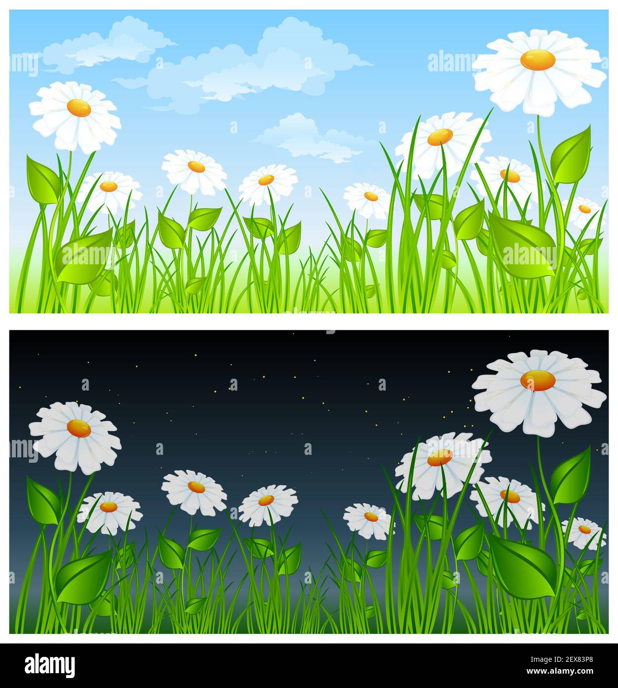 Giorno notte Foto Stock