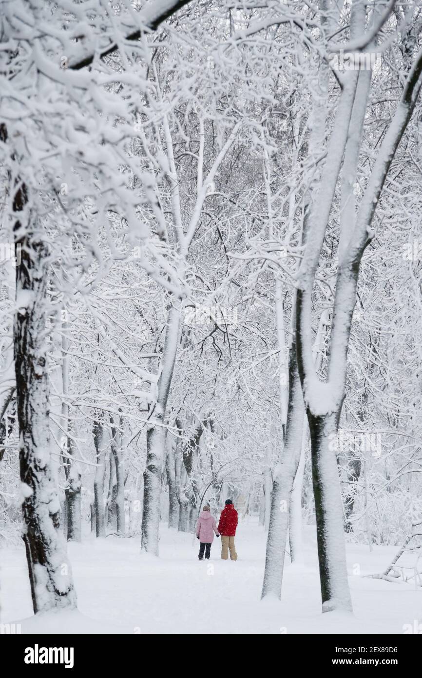Una coppia, un uomo e una donna che tengono insieme le mani nel parco invernale innevato. Alberi coperti di ghiaccio e neve, carico di slittino. Concetto di previsioni del tempo Foto Stock