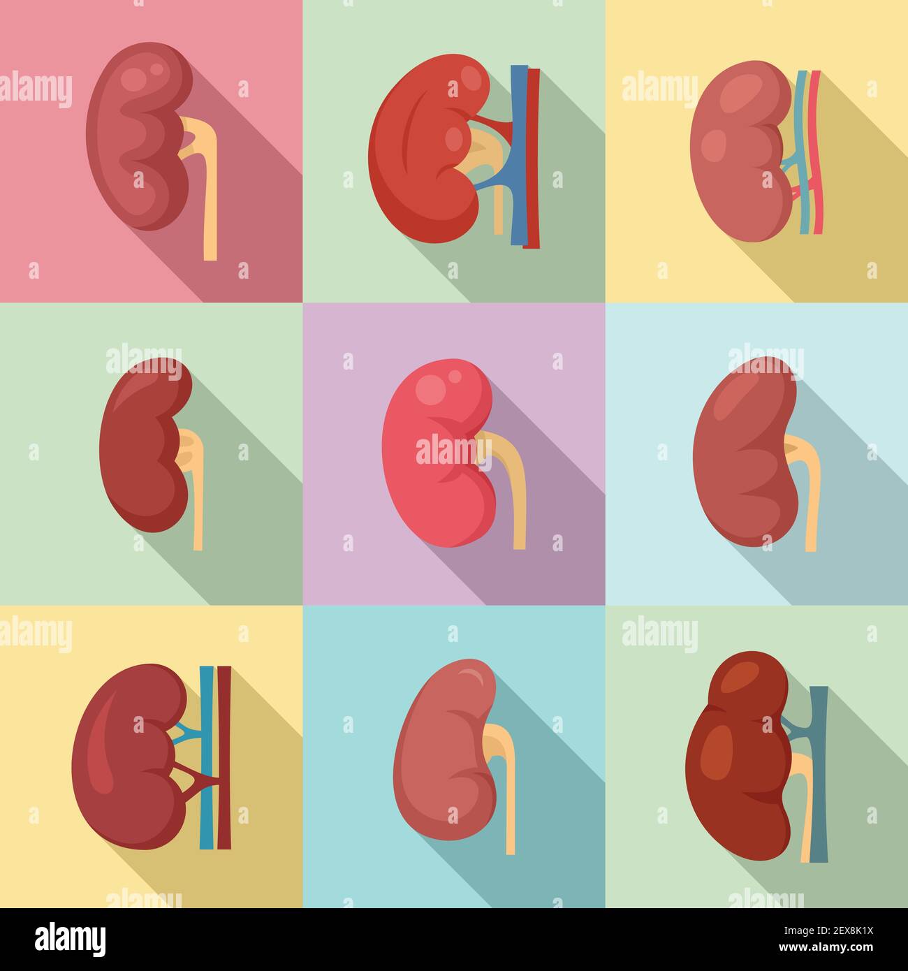 Set di icone renali, stile piatto Illustrazione Vettoriale