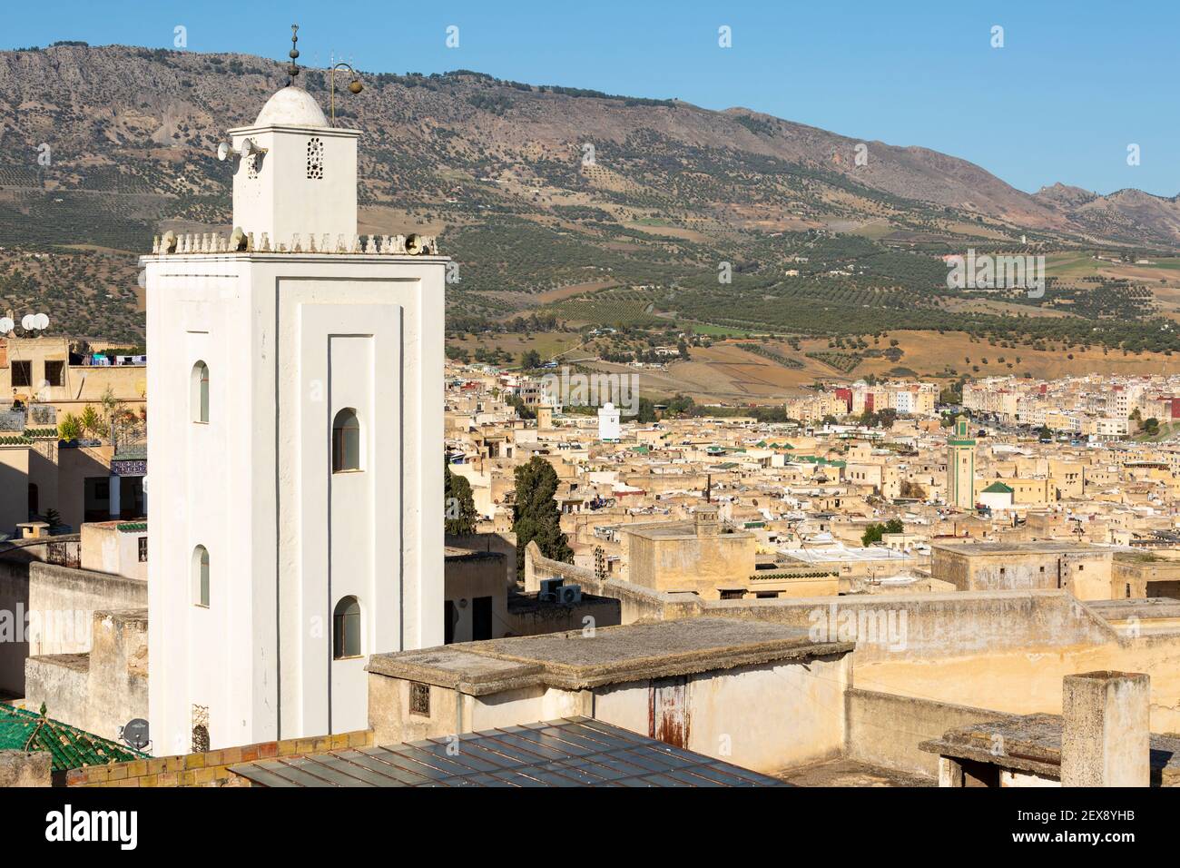 Vista panoramica sui tetti della medina Fes con minareto bianco in primo piano, come si vede dalla terrazza del Palais Faraj, Fes, Marocco Foto Stock