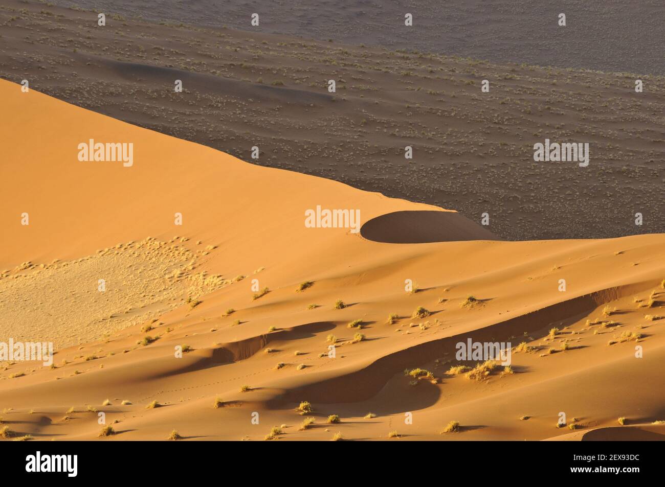 Le dune di Namib a sossusvlei Foto Stock