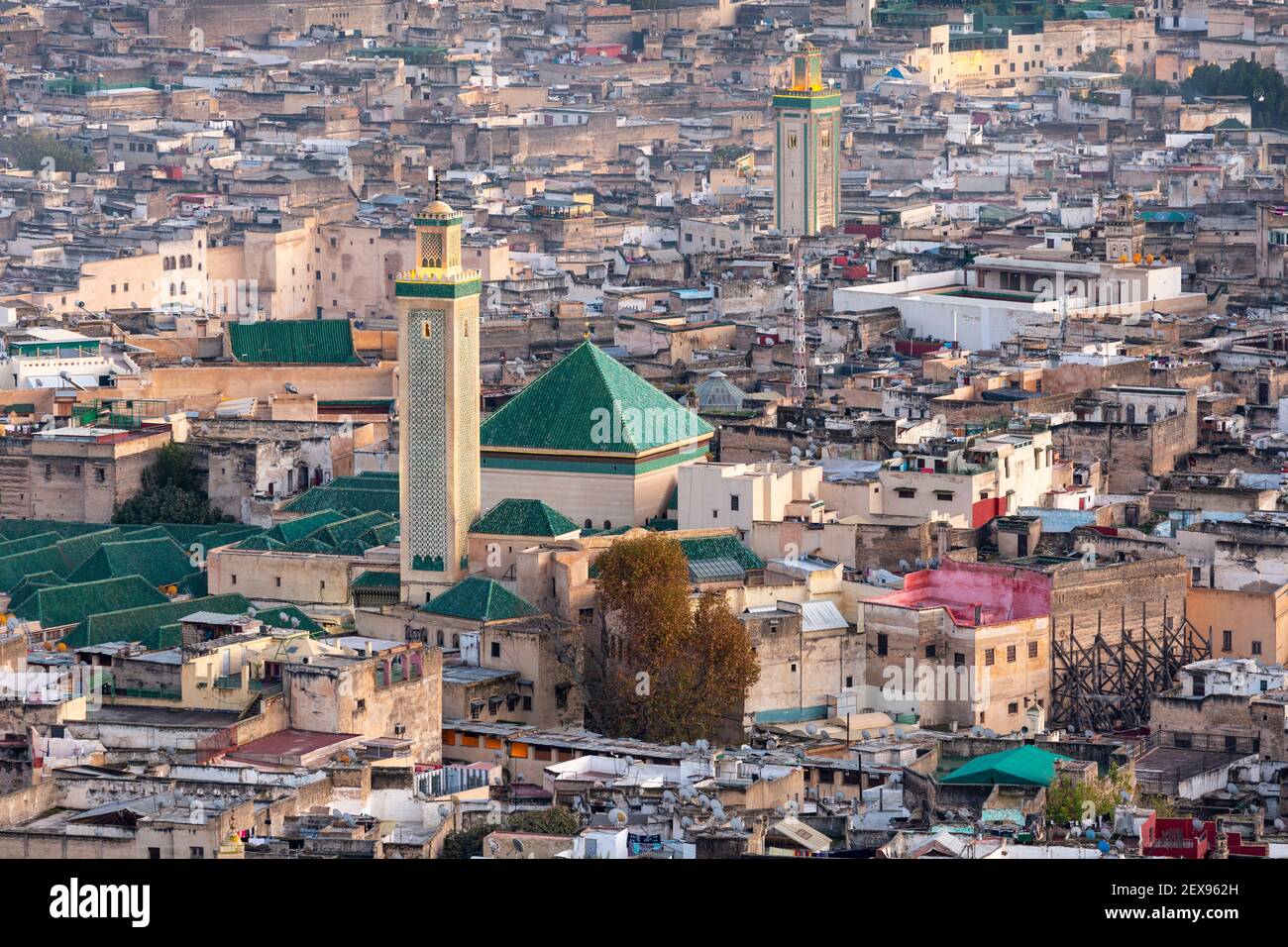 Vista della città della Medina Fes che mostra la Moschea al Karaouine, vista dalle Tombe Marinide, Fes, Marocco Foto Stock