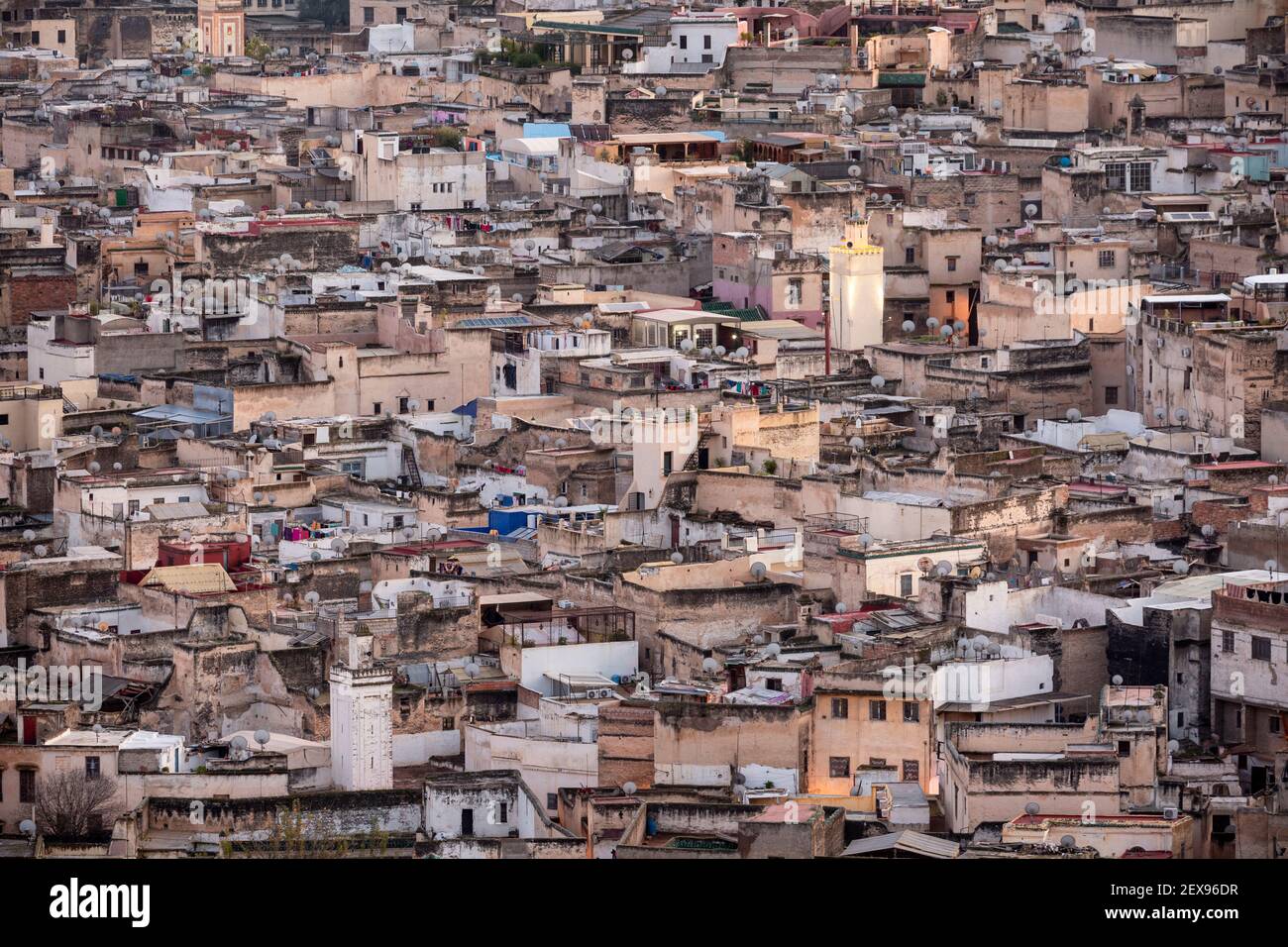 Vista dal paesaggio urbano dei tetti della Medina Fes, vista dalle Tombe Marinide, Fes, Marocco Foto Stock