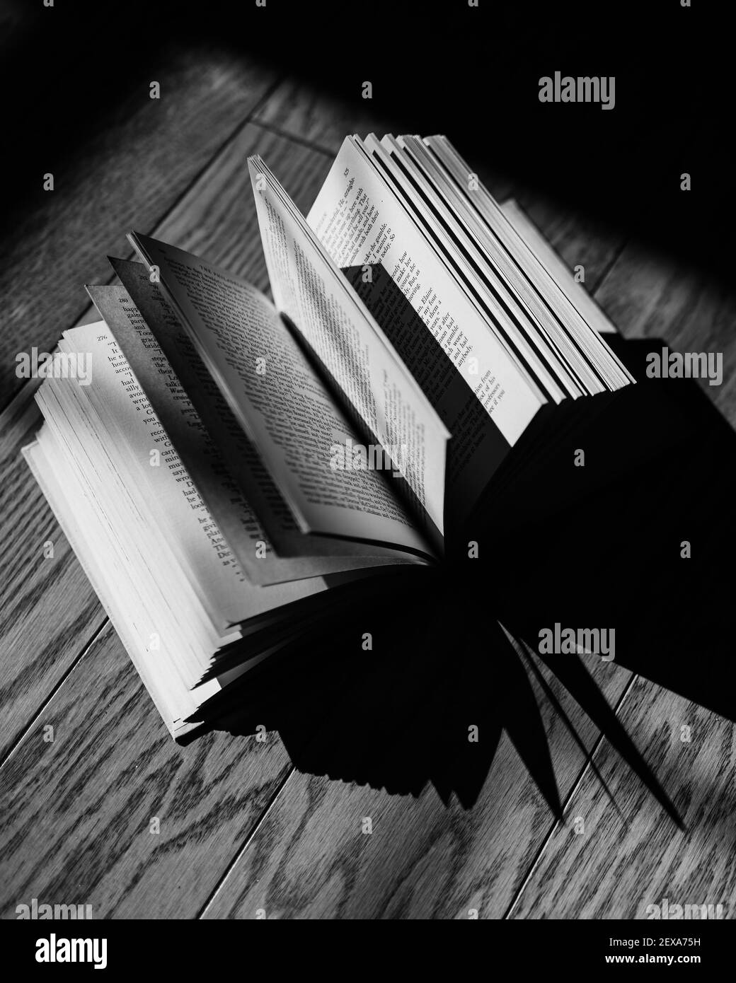 Una foto in scala di grigi di un libro aperto su un legno tavolo sotto la luce solare Foto Stock