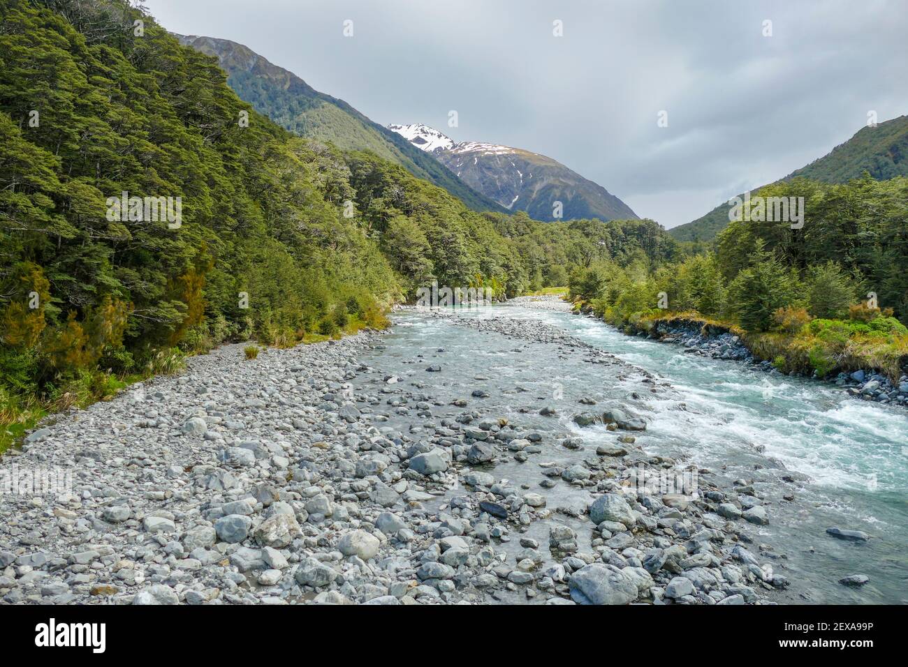 Paesaggi intorno al fiume Bealey in Nuova Zelanda Foto Stock