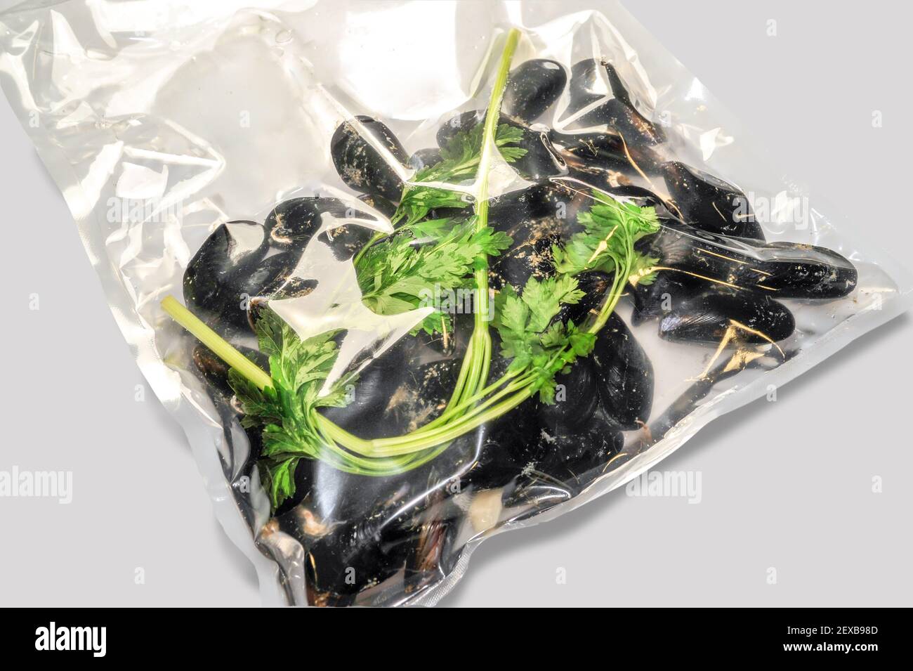 Cozze marinate con prezzemolo sottovuoto per cottura sous vide sfondo bianco Foto Stock