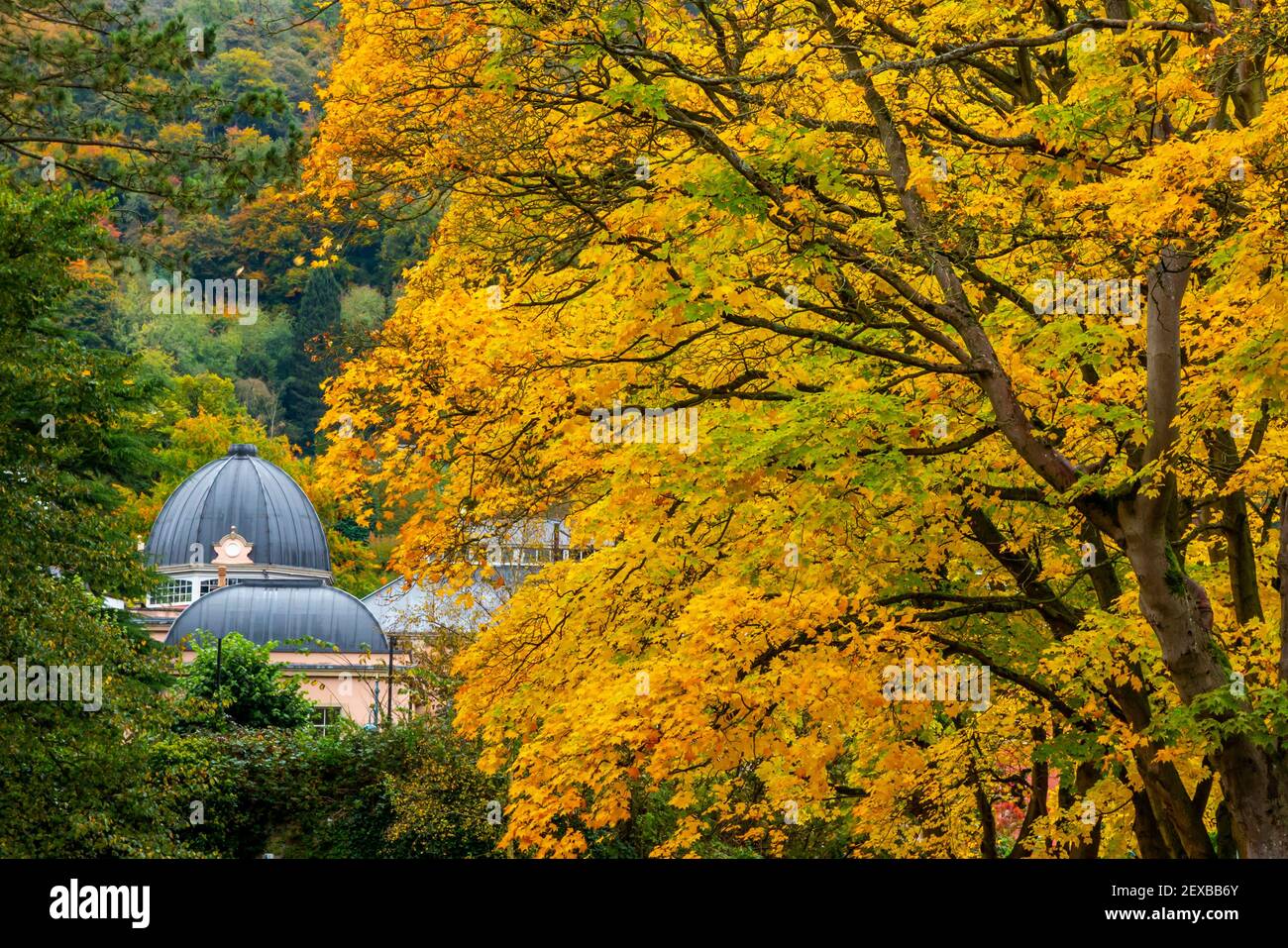 Vista autunnale dei Giardini di Derwent e del Grand Pavilion in Matlock Bath un villaggio collinare nella zona di Derbyshire Dales Del distretto di picco Inghilterra UK Foto Stock