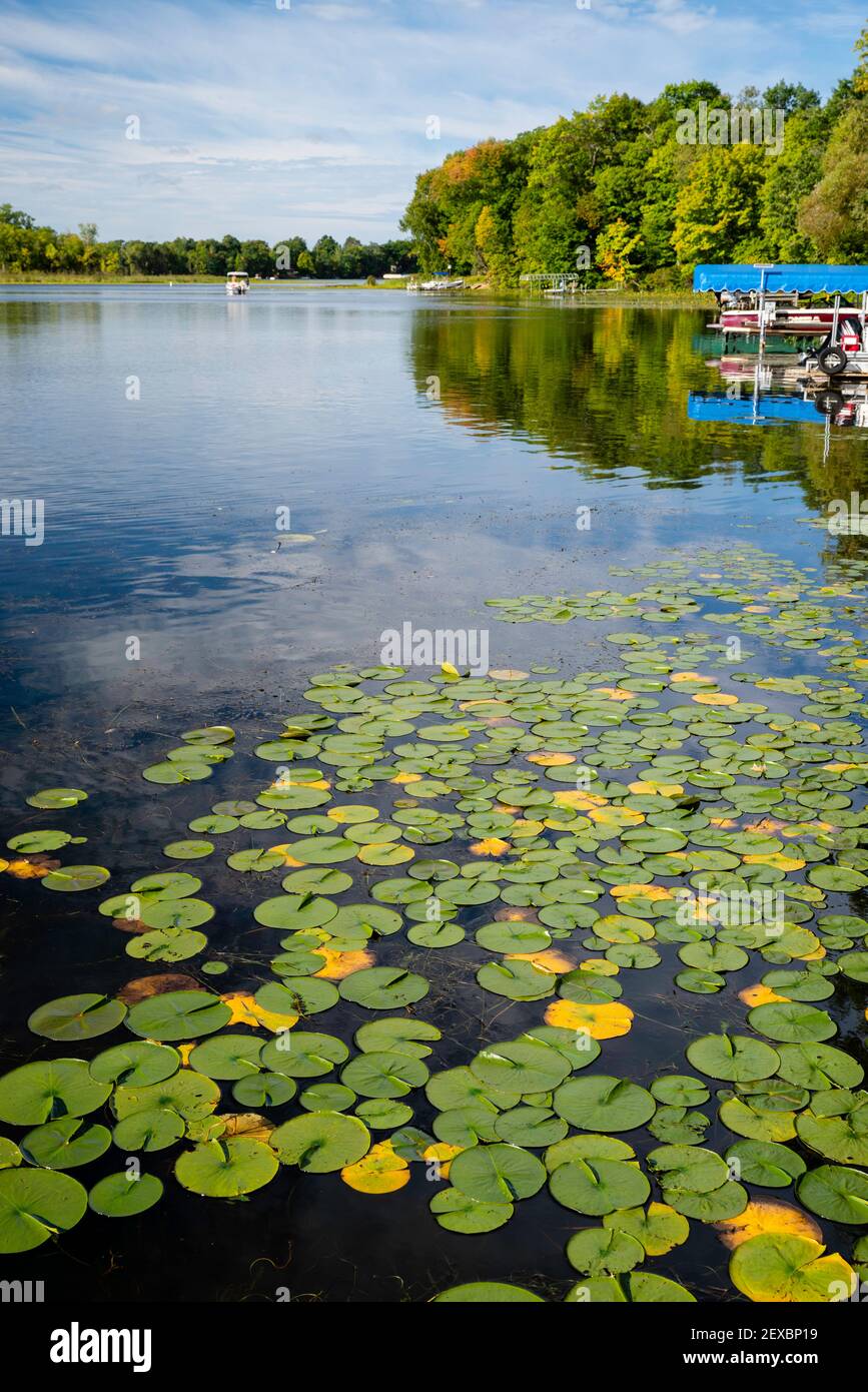 Una bella mattina in tarda estate sul lago McCann, vicino a Chetek, Wisconsin, Stati Uniti. Foto Stock