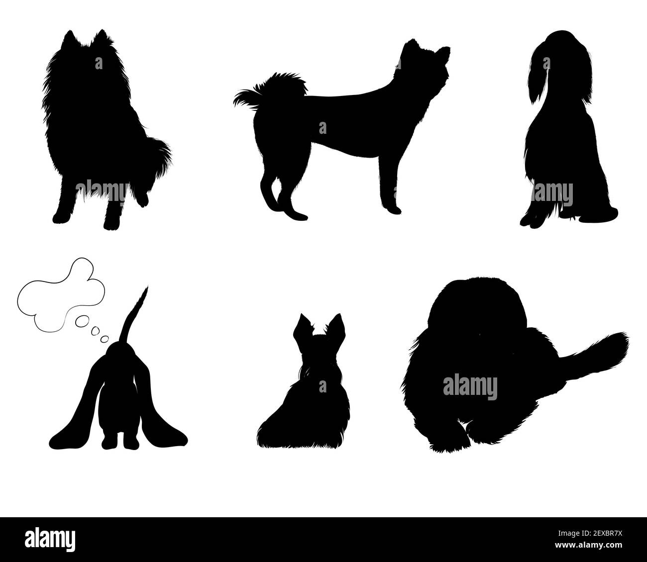 Silhouette serie razze di cane Foto Stock