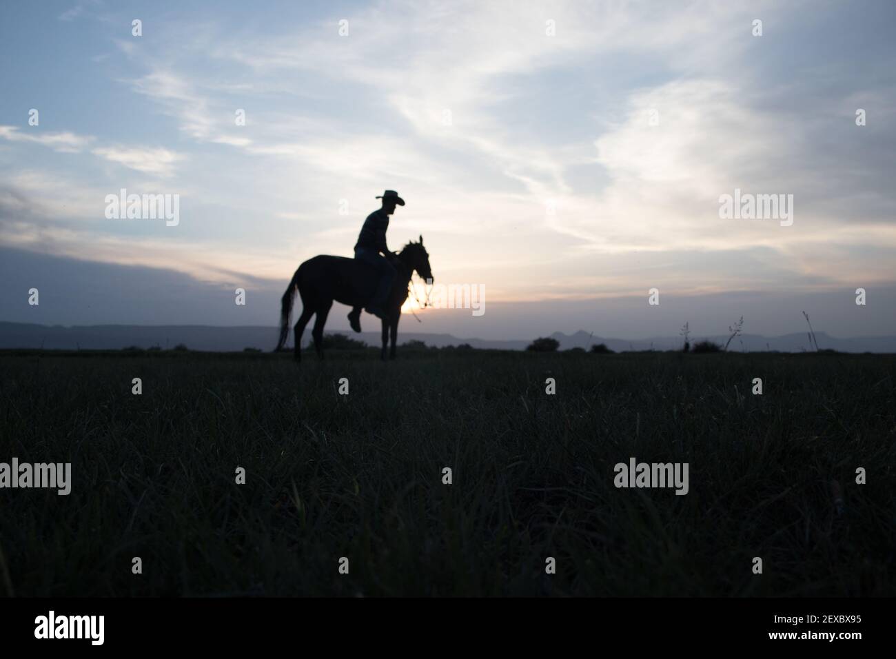 I cavalli e l'uomo sono molto bello.luce inversa. Le foto sono state scattate in turchia kayseri. Foto Stock