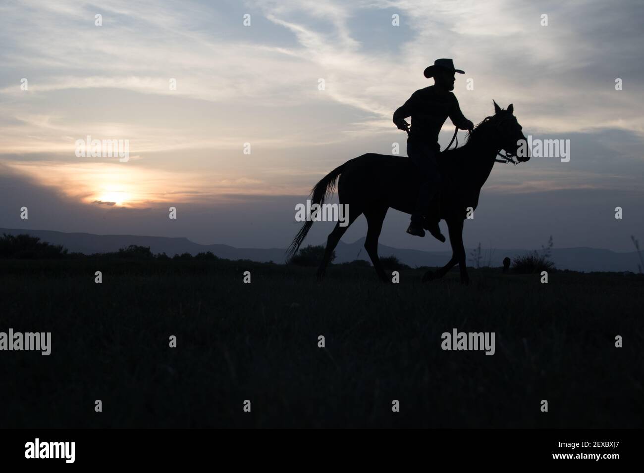 I cavalli e l'uomo sono molto bello.luce inversa. Le foto sono state scattate in turchia kayseri. Foto Stock