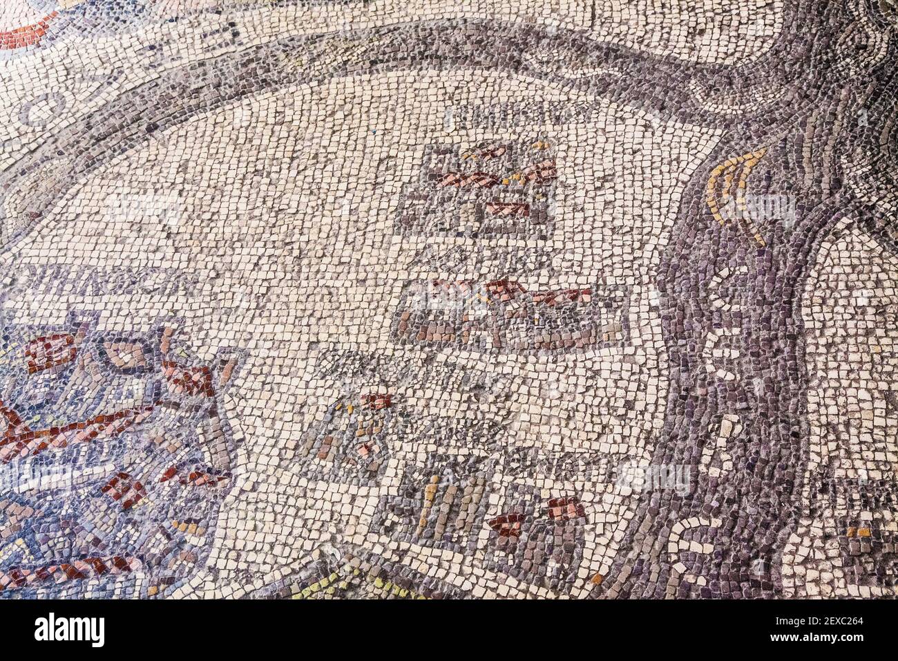 Parte della famosa mappa a mosaico della Terra Santa sul pavimento della Chiesa di San Giorgio a Madaba, Giordania. Foto Stock