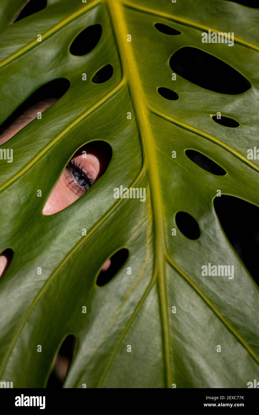 Ojo azul femenino entre los huecos de una hoja. Spazio per il testo. Foto Stock